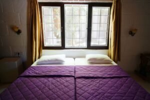 waterbed koel — Inviting bedroom featuring purple bedding, natural light through a window, and warm decor.